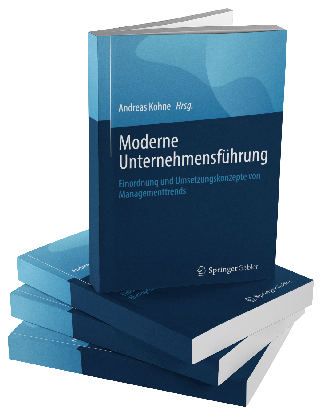 Buch Moderne Unternehmensfuehrung